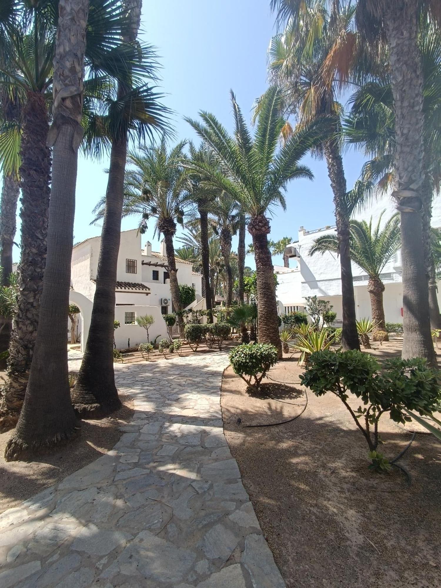 Mangos Appartement *