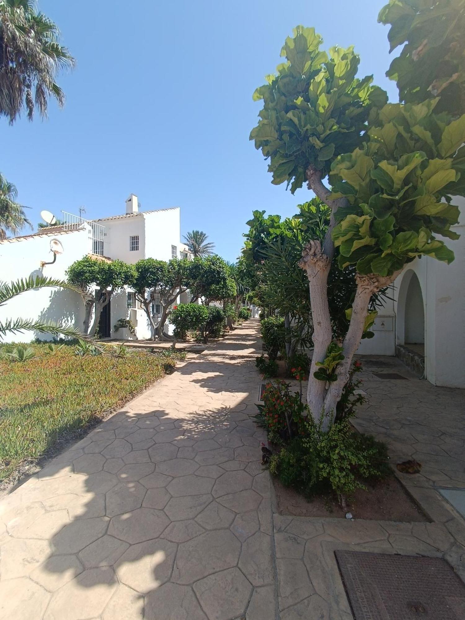 Mangos Appartement *